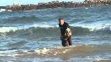 Dax - extraordinary protection work at Sardinia Bay